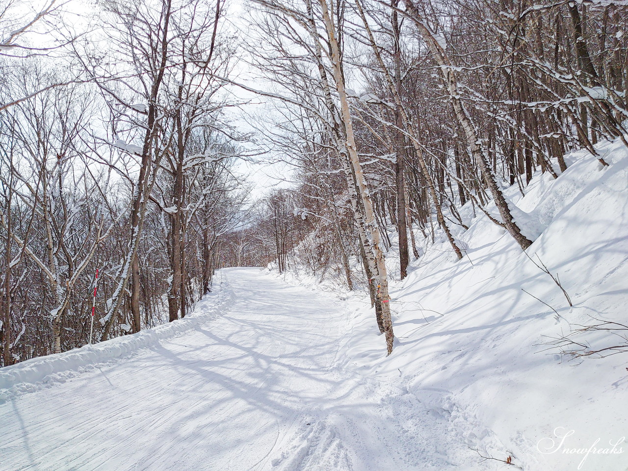 札幌藻岩山スキー場　積雪 105cm。スキーヤーだけが楽しめる！名物の急斜面『うさぎ平』＆『からまつ』両上級者コースもコンディション良好です(^^)/